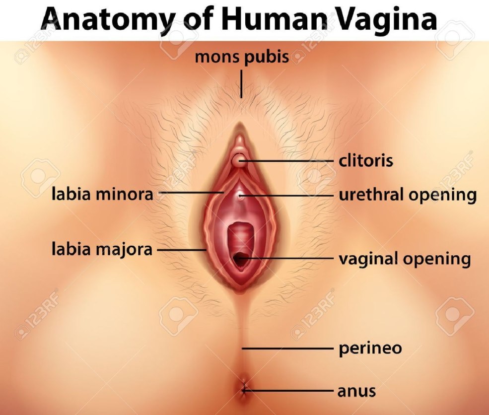 Femmes nues avec un gros clitoris