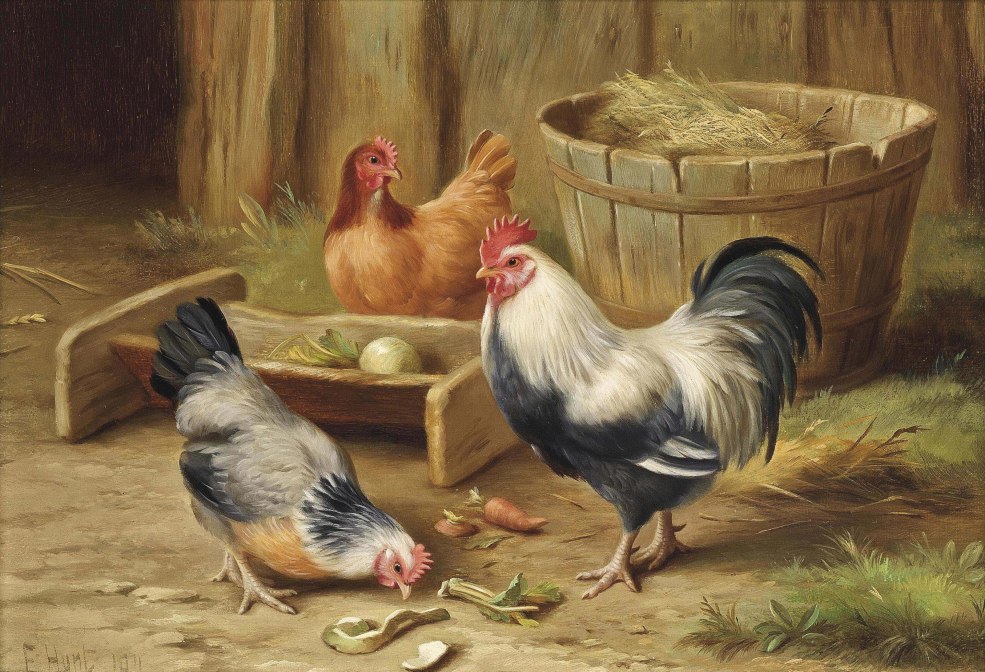Beau poulet