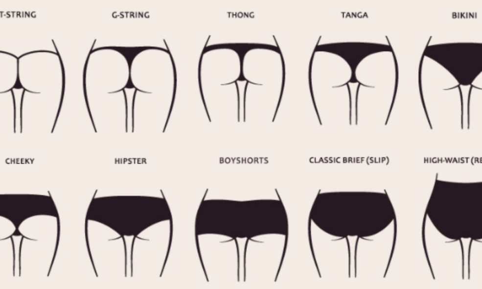 Classification de la culotte