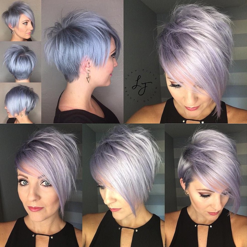 Pixie Bob Asymétrie 2021