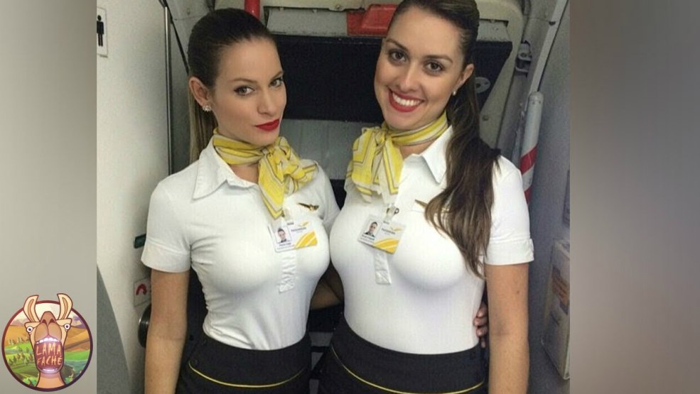 Les Hotesses de lair / hôtesses (2018, France)