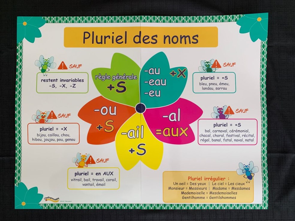 Secrétaires Sans Culotte 1979 acteurs