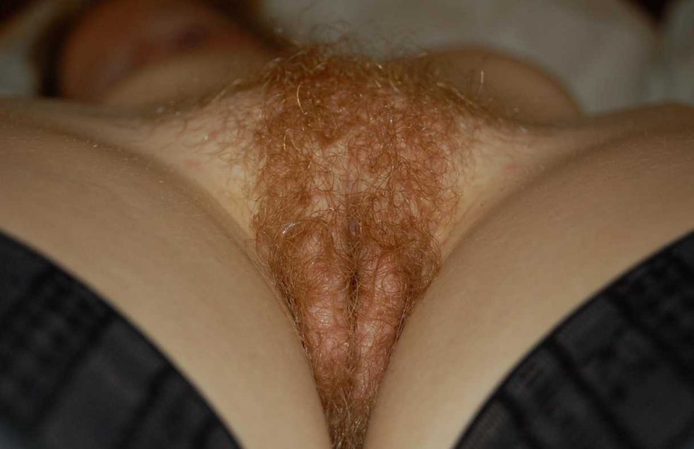 Cheveux bruns sur le pubis