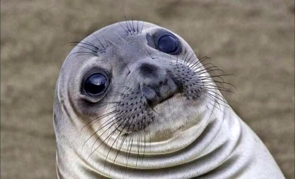 Image introuvable image