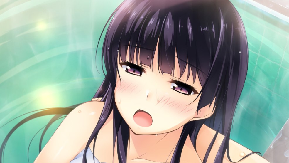 Roman si mon cœur avait des ailes