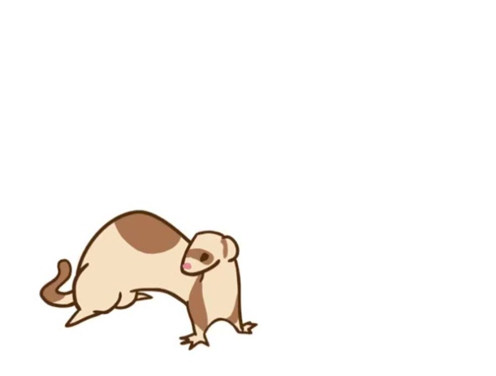 Furet animé
