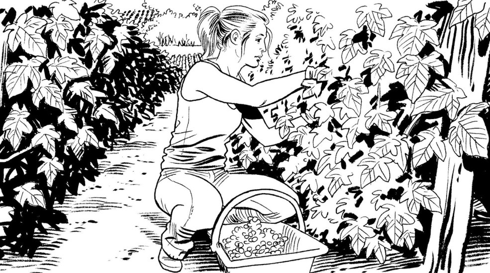 Bruce Morgan Comics