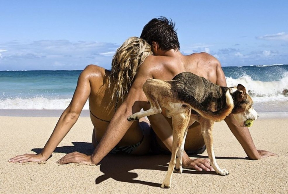 Couples lesbiens adultes