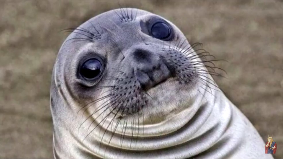 Vicki crypse fantôme