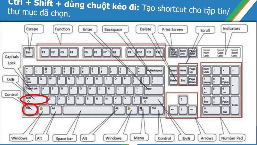 Un groupe de mème de grenouille