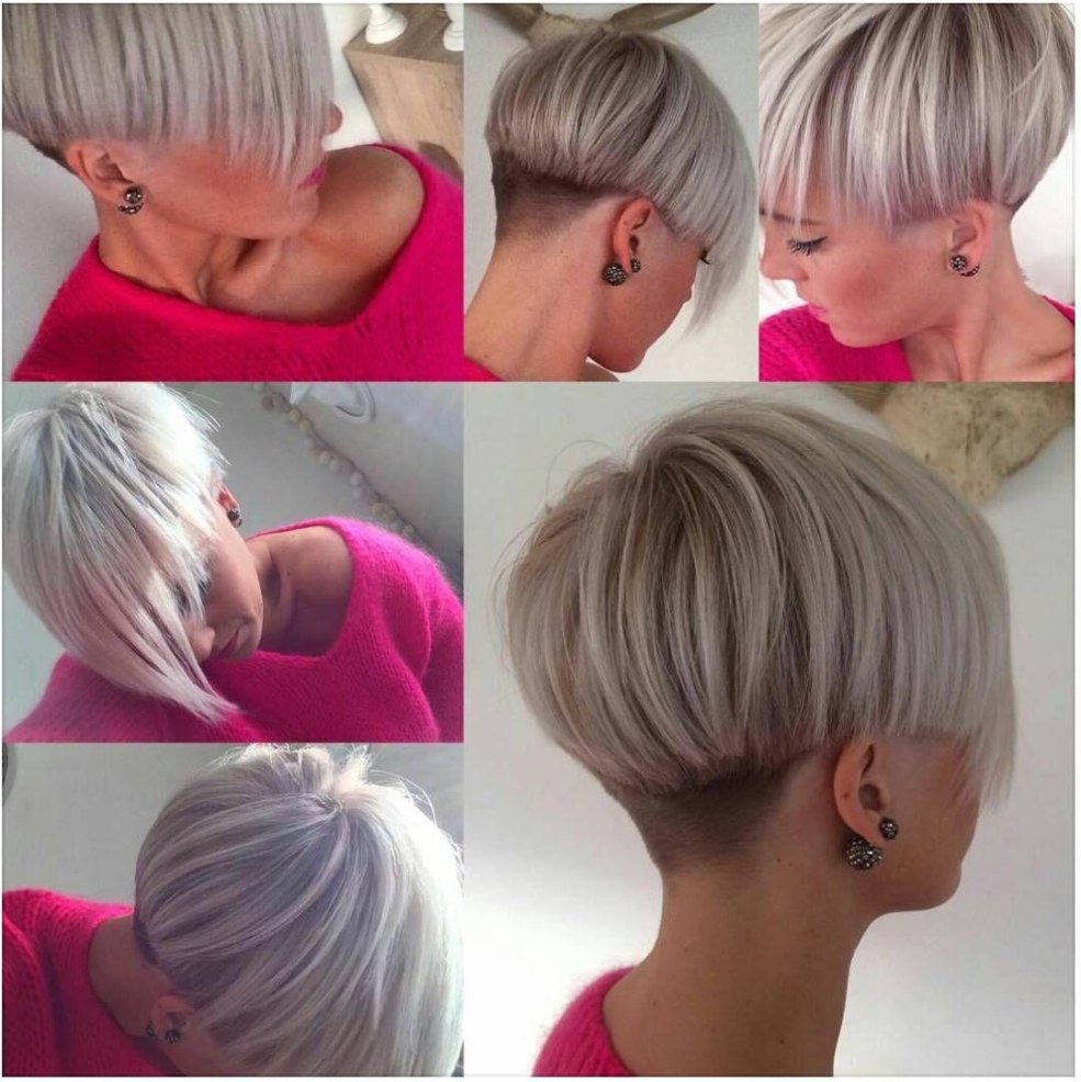 Chattes velues d'adultes