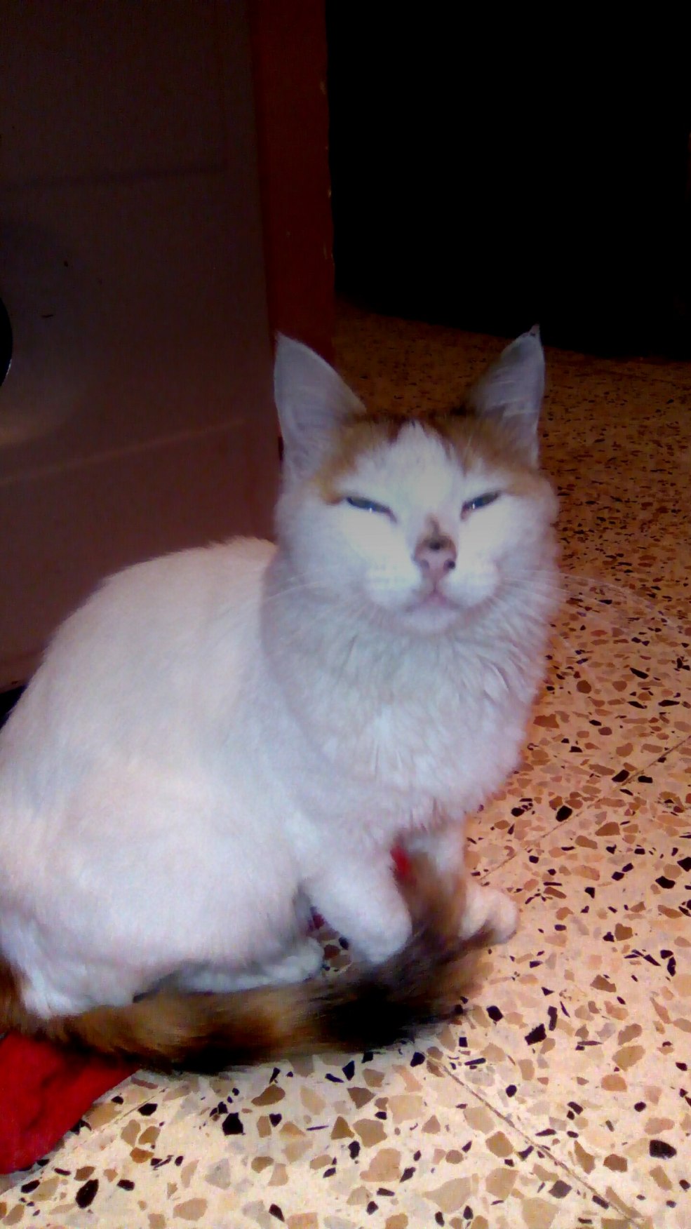 Plasmatron mmg am ls3a