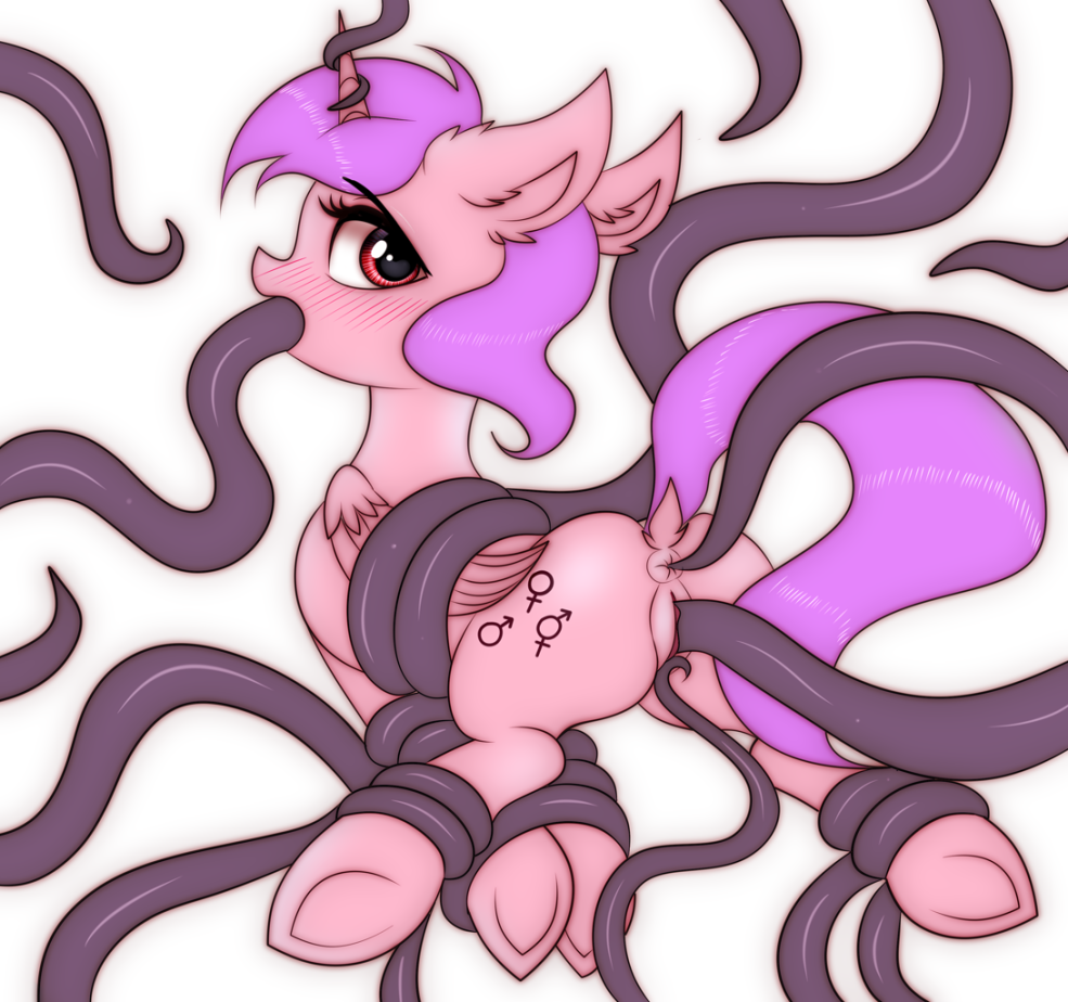 Polin Akkar et Adel Enel