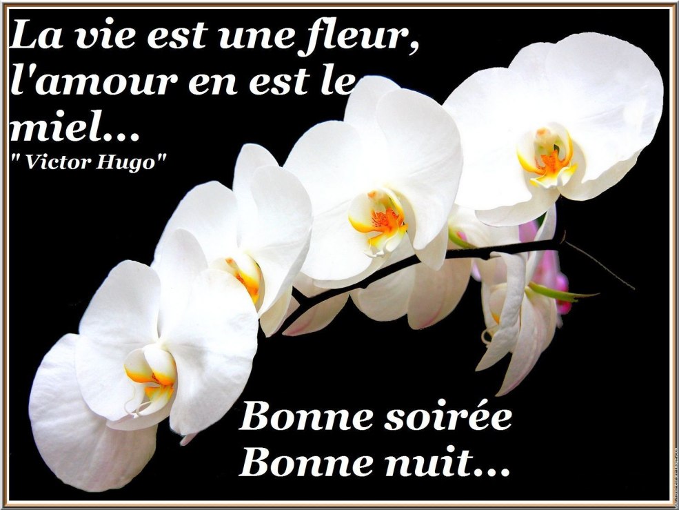 Premier amour 2011 France