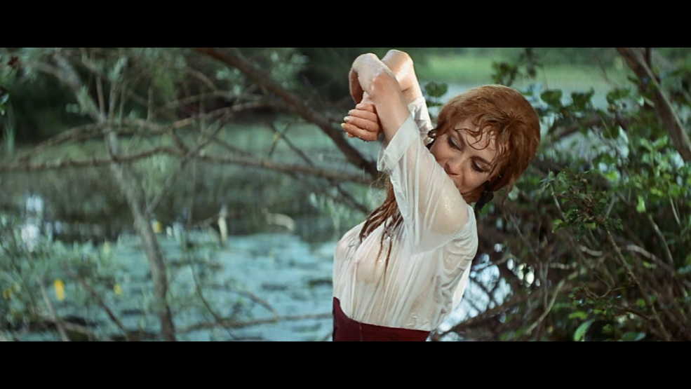 Benoit Machimel Girlfriend of the Bride 2004