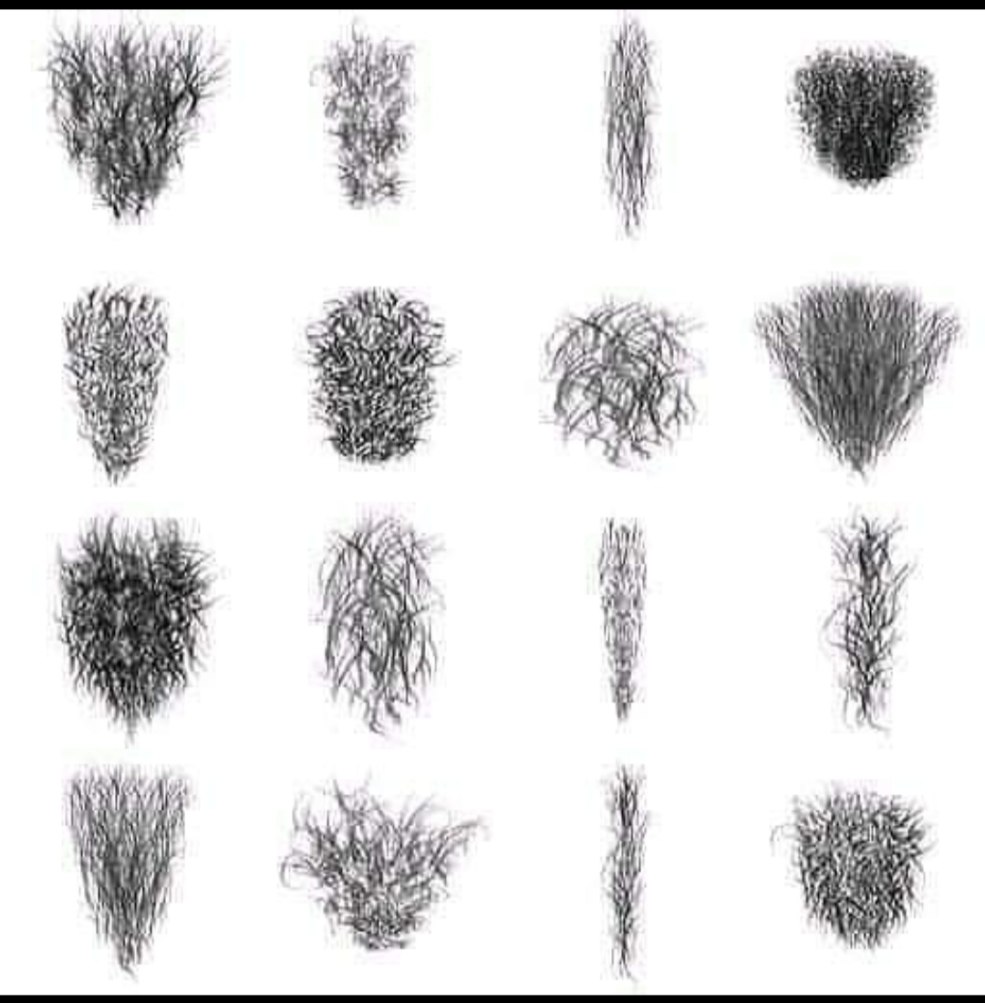 Adducteur Avulsive Blessures près de la symphisis pubis