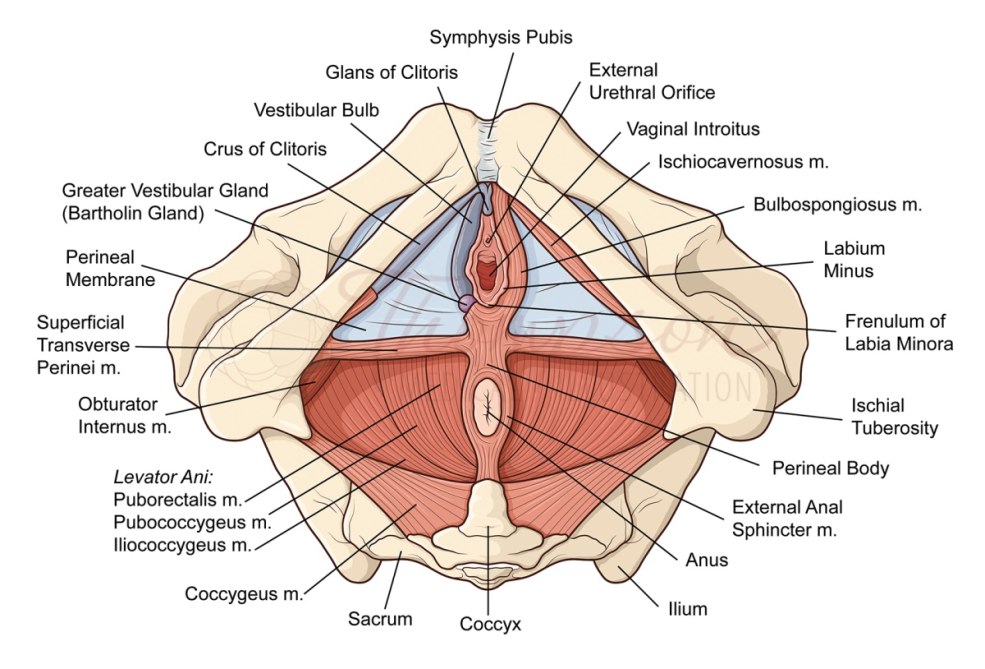 Film de réputation impeccable 1981