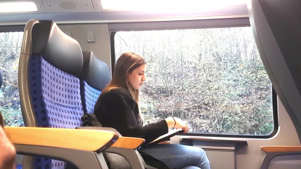 Miniloona Train Flash