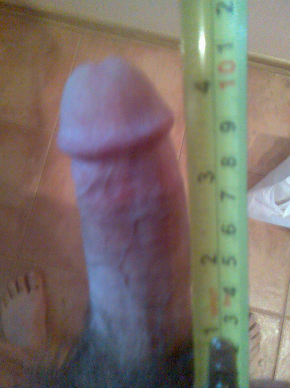 Membre 17 cm
