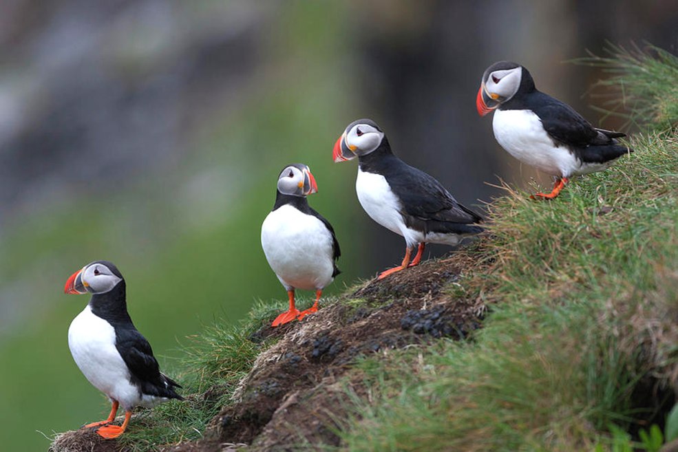 Photo porno des magazines porno