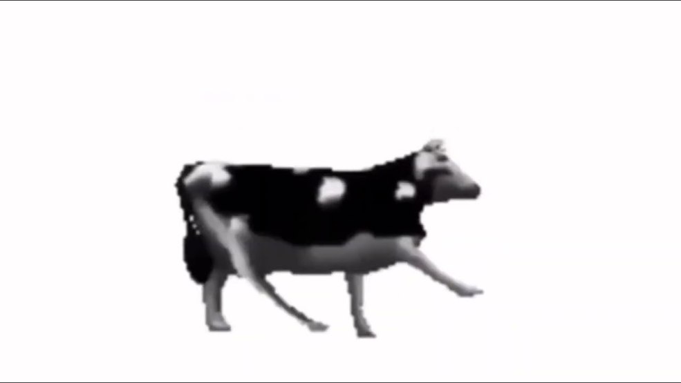 Vache polonaise
