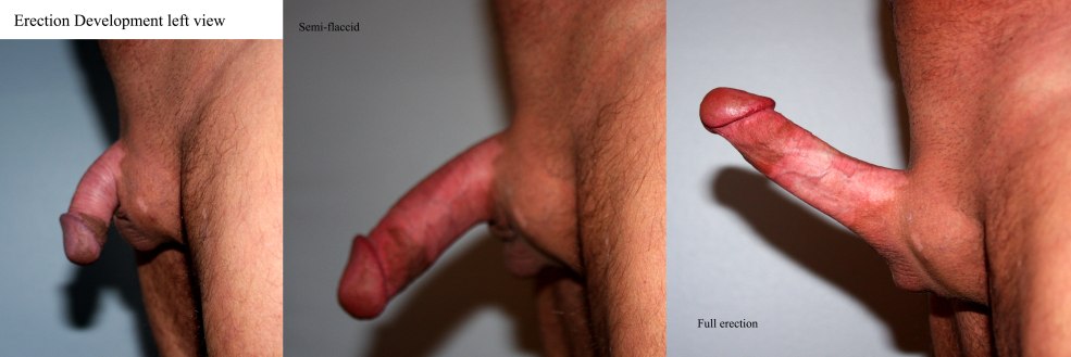 Acoster le pénis dans le pénis. Porno