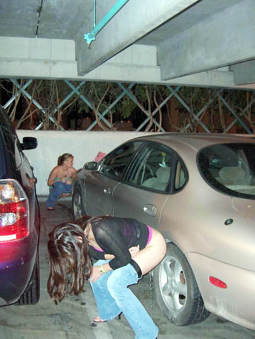 Faites pipi sur le sol