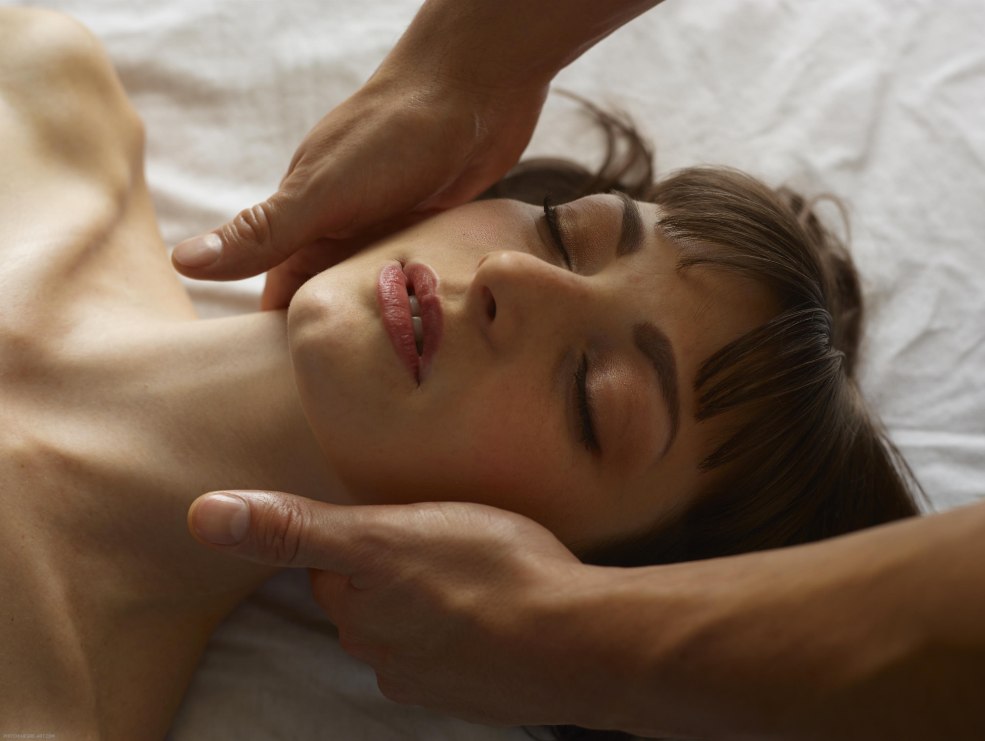 Chroniques françaises de la famille française