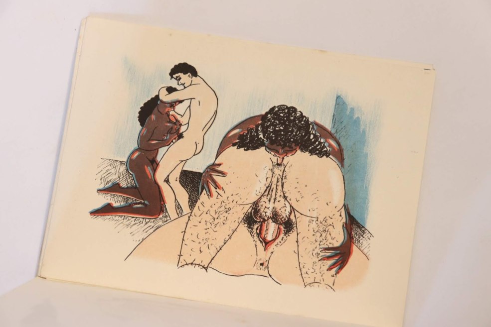 Noirs nus et femmes blanches
