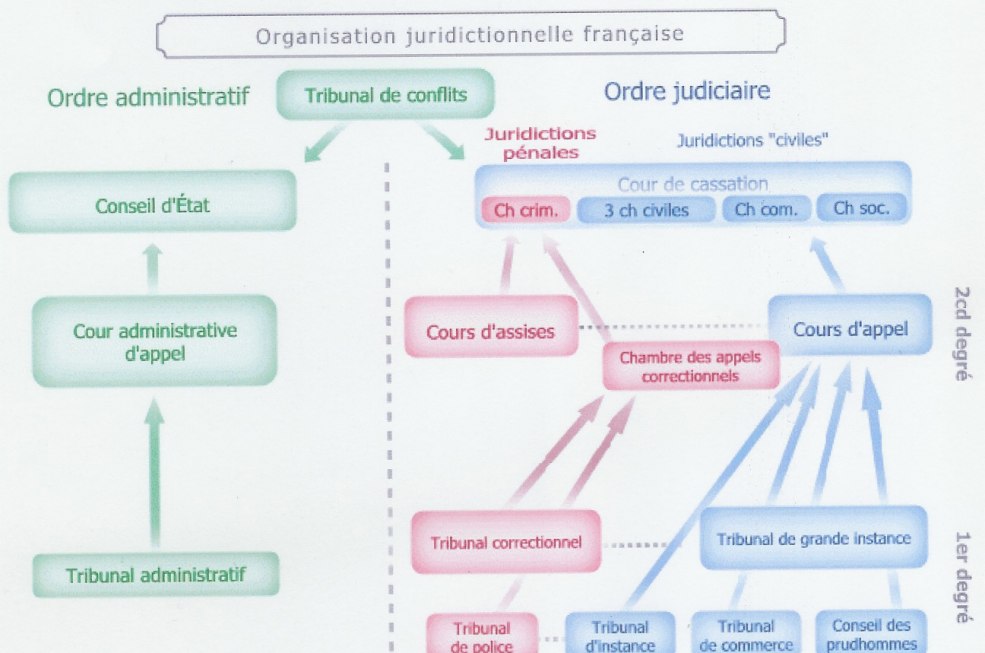 Le thème de la lecture français