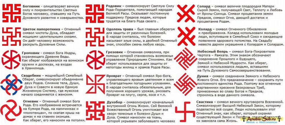 Amir Adar Popka dans le train