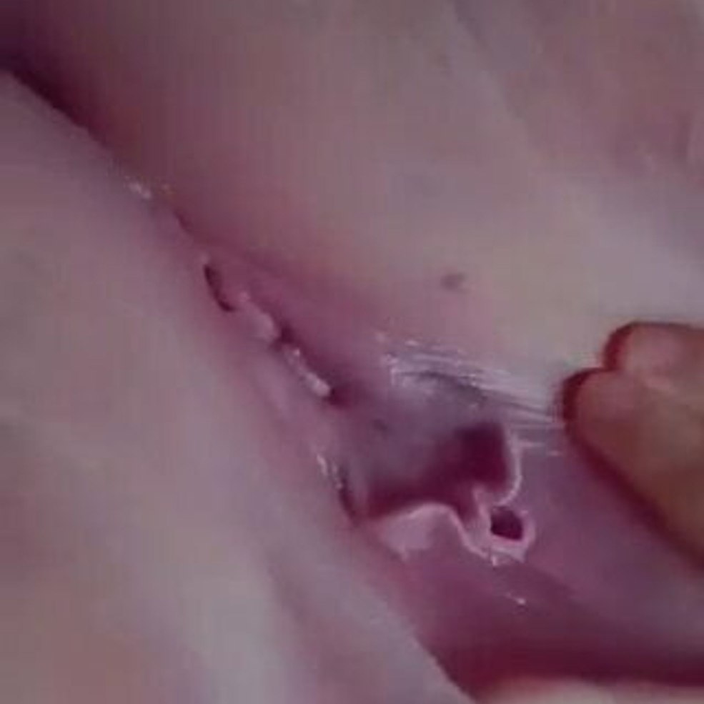 Skylar voks sperme à l'intérieur