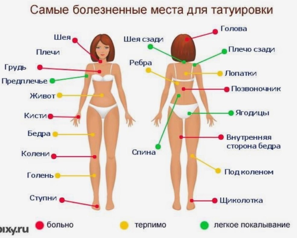 Réfrigérateur Biryusa 122 REGULATEUR DE CORD