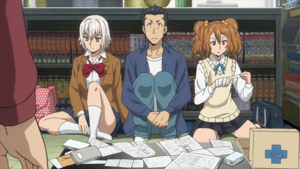 Romans visuels harem