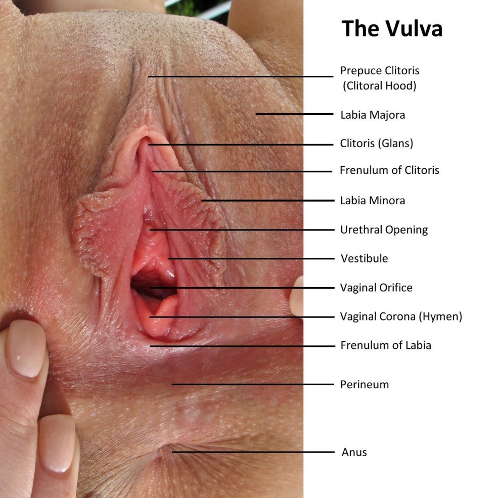 Les femmes japonaises jouent avec le clitoris