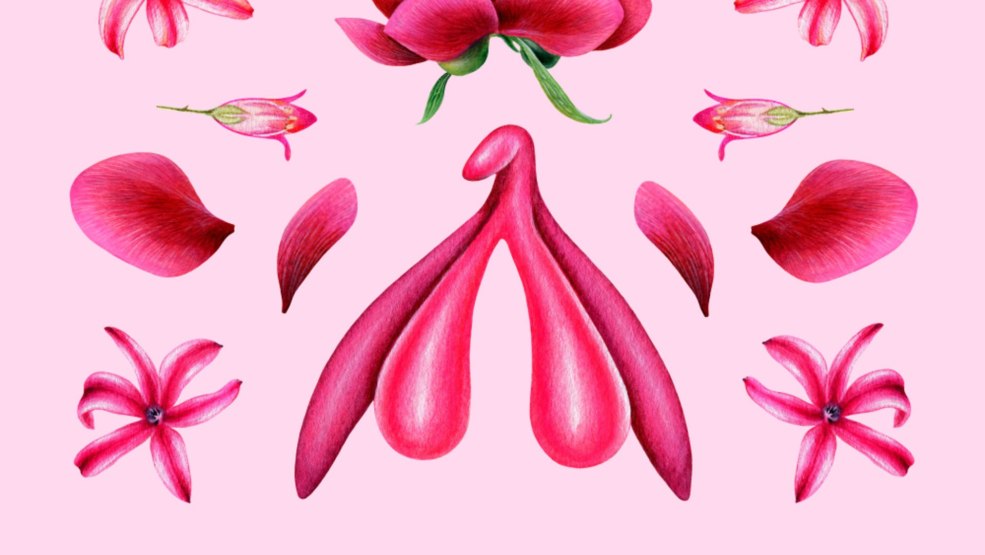 L'emplacement du clitoris chez les femmes