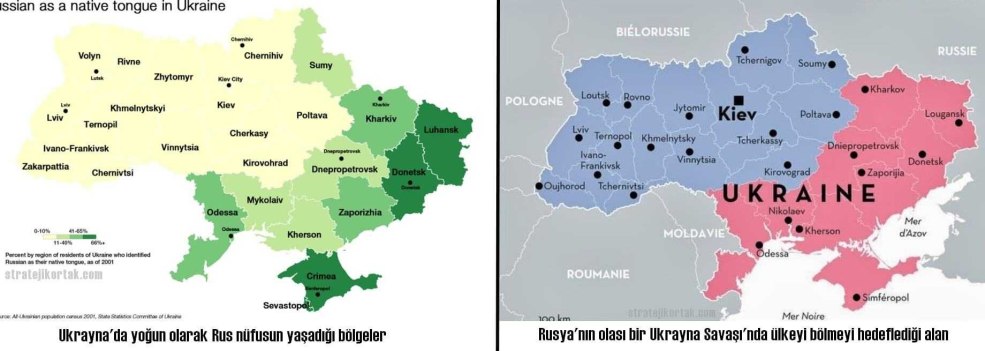 Emily Browning Sleeping Beauty 2011