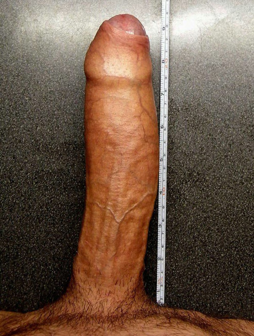 Membre 17 cm