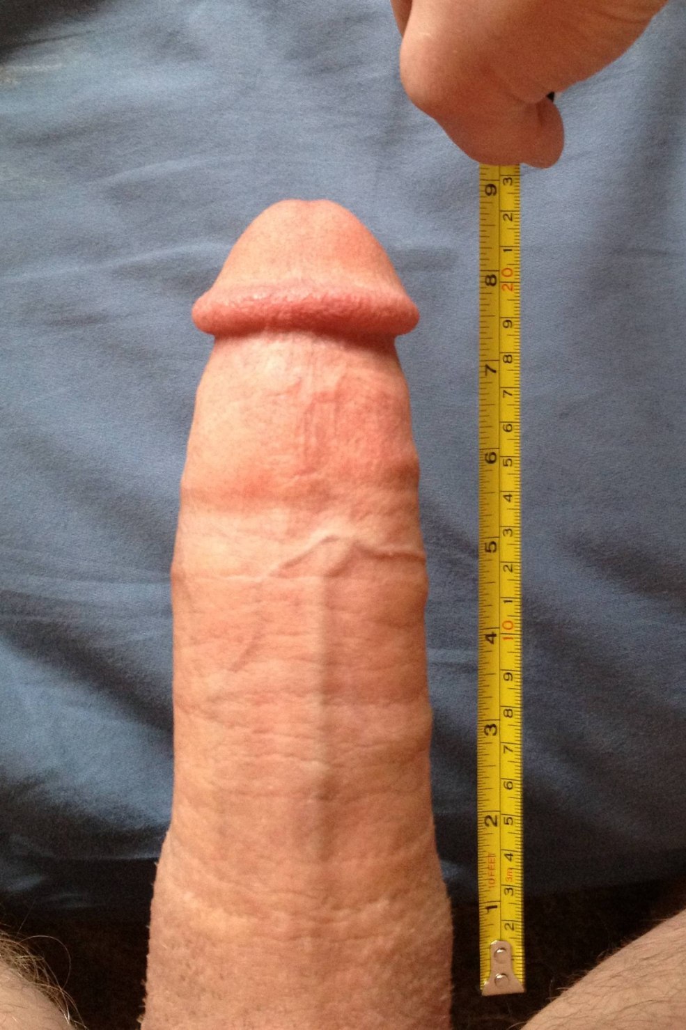 Un grand membre de l'amateur