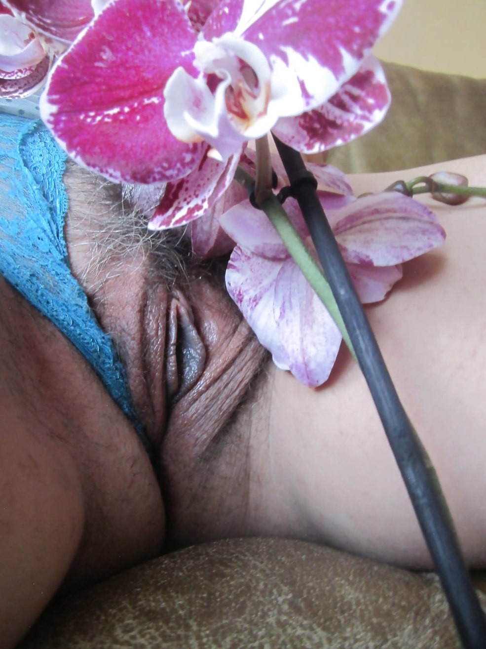 Amatrice française enceinte - 24 photos xhamster