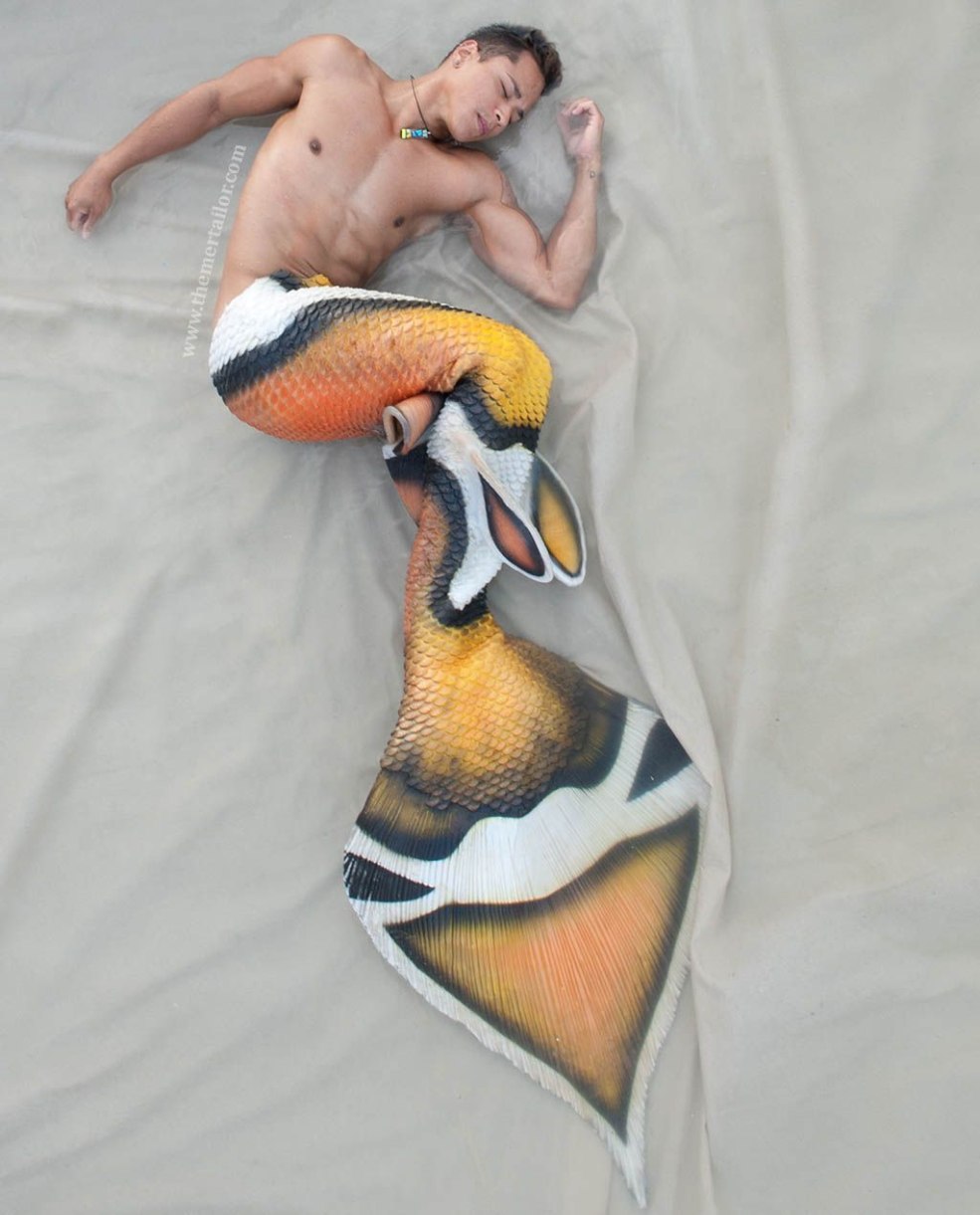 La queue de sirène est des hommes