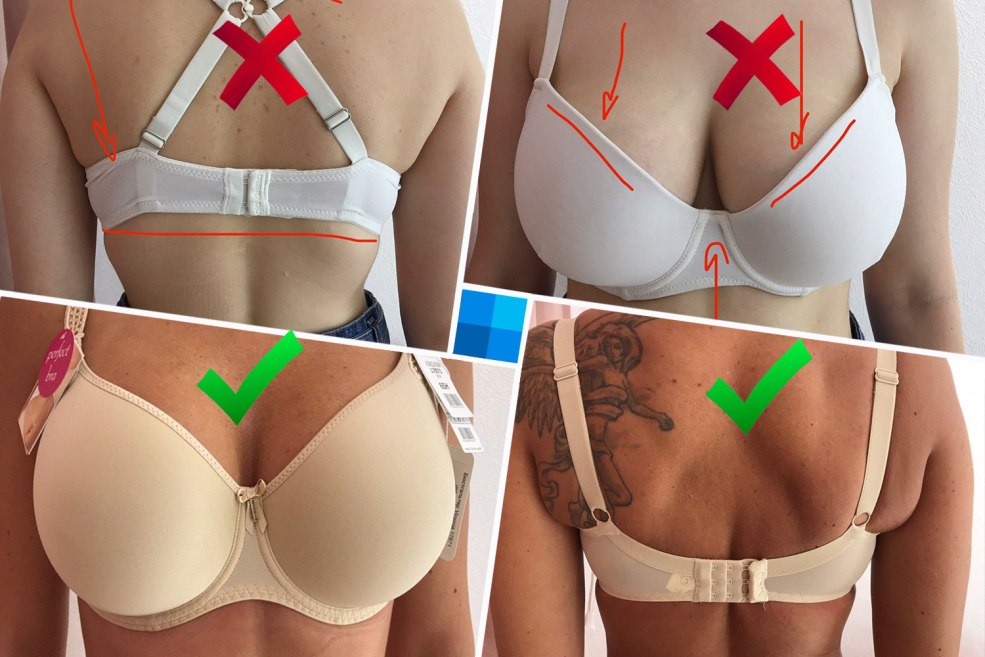 Ark Belakis perdu Hentai