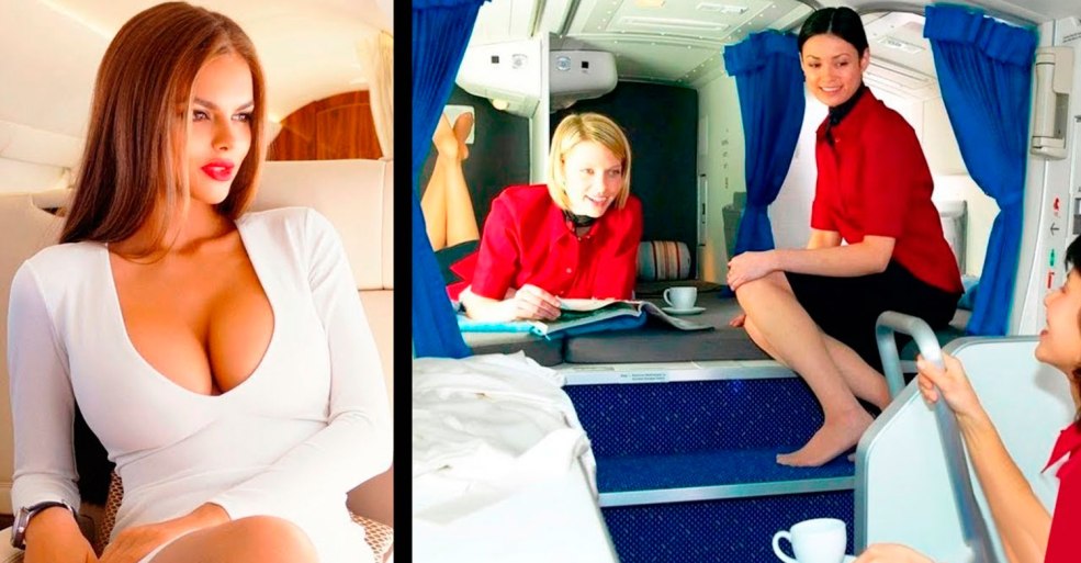 Big Breast Flight Beneftor