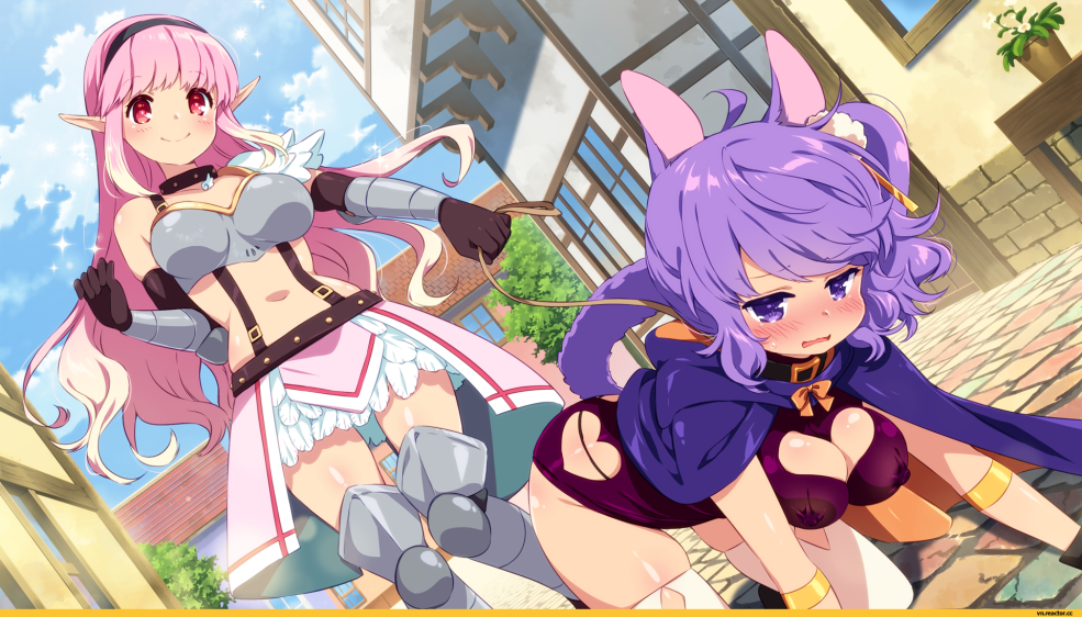Jeu Sakura Knight