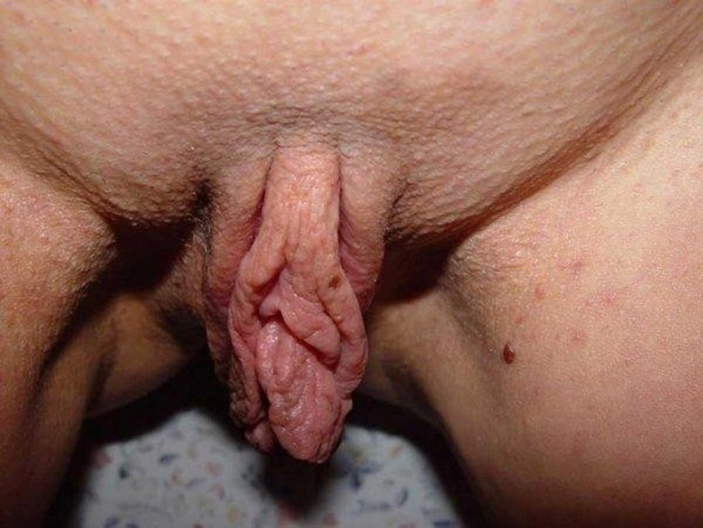 Cunnilingus Close -Up
